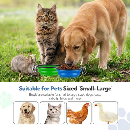 Collapsible Dog Bowl Large 2 Pack, Dog Water Bowls for Travels, Portable Foldable Pet Bowls Feeding Watering Dish for Parking Walking Camping with 2 Carabiners Clip (34oz, Large, Blue+Green
