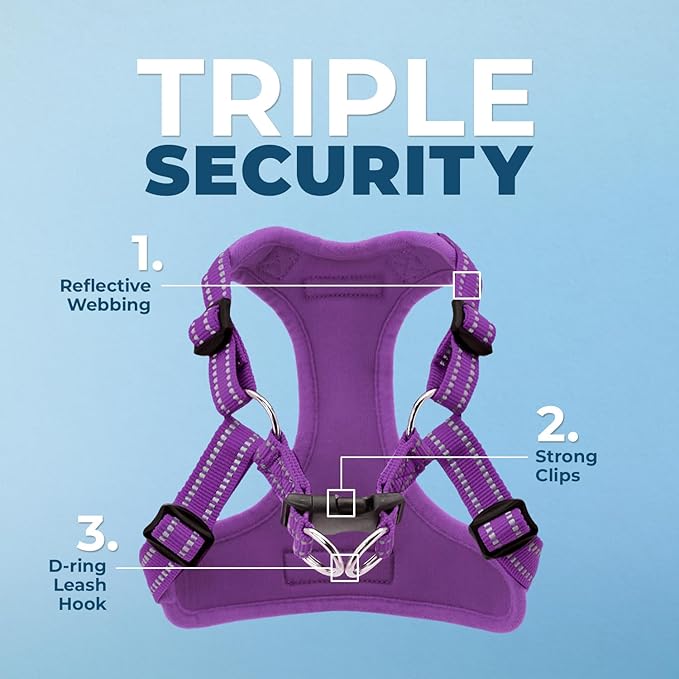 Best Pet Supplies Voyager Adjustable Step-in Flex Breathable Mesh Dog Harness for Small Medium Large Dogs Leash Set (Purple), S