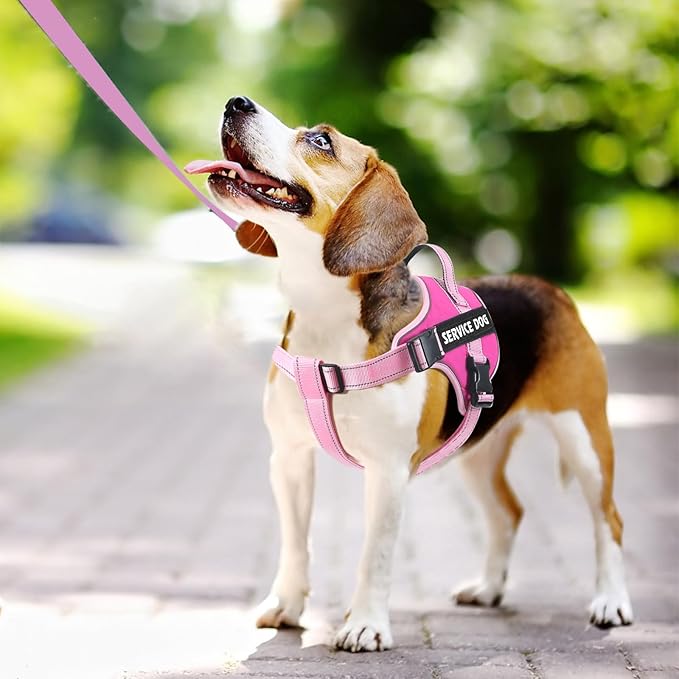 voopet Emotional Support Dog Harness, Professional Service Dog Vest Harness for Small Medium Large Dogs, Reflective Breathable and Adjustable No Pull/Choke ESA Essential Harness