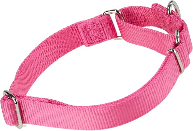 Hyhug Martingale Dog Collar Medium Pink |Escape - Proof Heavy Duty Nylon Durable No Slip, Ideal for Training & Daily Walks