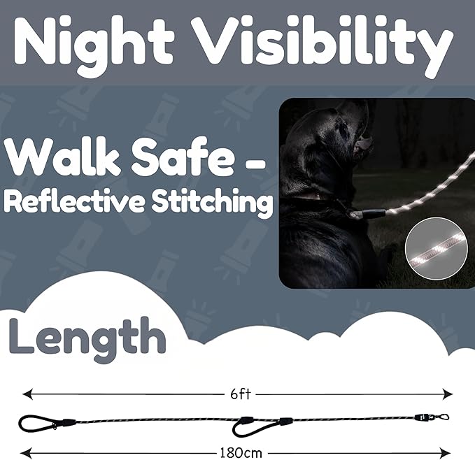 6 Foot Dog Leash, Two Extra Padded Handles, Locking Carabiner Clip, Reflective for Night Visibility, Weatherproof, Heavy Duty Rope Leash, Roam Gear (Black)