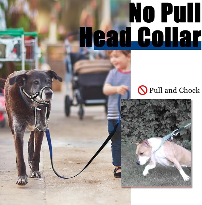 BARKLESS Reflective Head Collar, No Pull Collar for Small Medium Dogs, Anti-Pull Muzzle Leash for Puppy, Adjustable Soft Dog Halter, Nose Leash for Easy Control on Walks