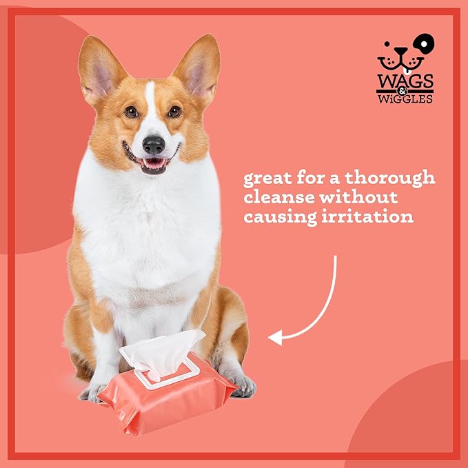 Wags & Wiggles Purify Hypoallergenic Dog Wipes for Sensitive Skin, Paw and Body Grooming Wipes with Gentle Plant Based Formula for Everyday Cleaning, Zesty Grapefruit Scent, 100 Count