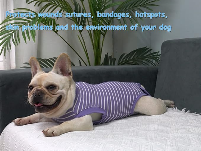Dog Surgery Recovery Suit - After Spay, Abdominal Wounds Post Surgical Recovery, Anti Licking Breathable Dog Onesies for Small, Medium & Large Pet, Alternative Bandages Cone E-Collar