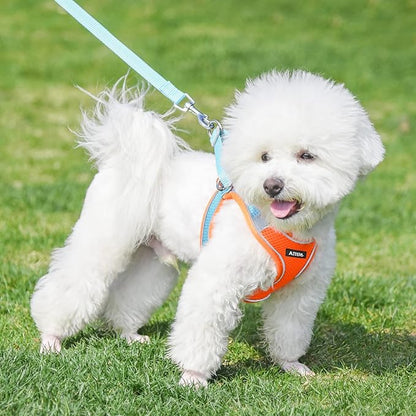 AIITLE Comfortable Dog Harness and Leash Set for Walking - Step in Vest Harness,Reflective Bands, Adjustable No Pull Puppy Essentials, for Small Dogs and House Cats Orange XS