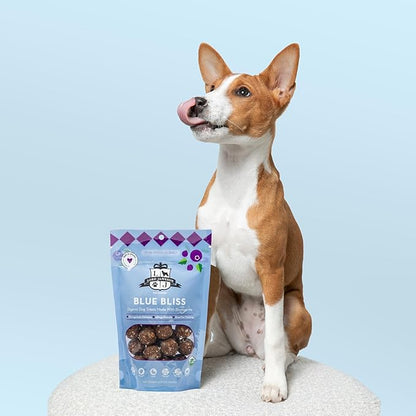 Lord Jameson: Blue Bliss 6 oz - Dog Patisserie Treats, Organic, Soft & Chewy No-Bake, Blueberry Antioxidant Rich Bites, Gluten & Preservative Free