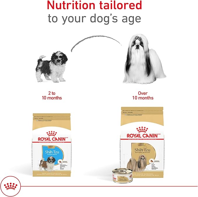 Royal Canin Breed Health Nutrition Shih Tzu Adult Loaf in Sauce Dog Food, 3 oz (Pack of 6)