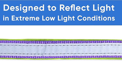 Pawtitas Lumberjack Padded Martingale Collar for Dogs | Soft Neoprene Dog Collar for Your pet's Comfort Made with Reflective Band for Maximum Visibility | Fits Small and Large Pets - Medium Purple