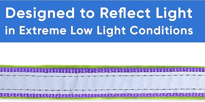 Pawtitas Lumberjack Padded Martingale Collar for Dogs | Soft Neoprene Dog Collar for Your pet's Comfort Made with Reflective Band for Maximum Visibility | Fits Small and Large Pets - XXS Purple