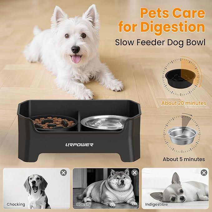 URPOWER 3-in-1 Elevated Dog Bowls - Mess Proof 4 Height Adjustable Raised Stand with 2 Stainless Steel Food Bowls for Small, Medium Dogs