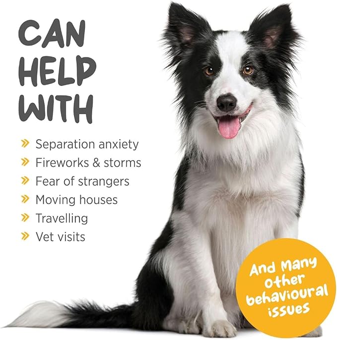 maxxicalm Calming Tablets for Dogs (60) – Fast-Acting Calm & Relaxation Support – Fireworks, Thunderstorms, Separation & Travel Stress – Non-Drowsy – Made in USA