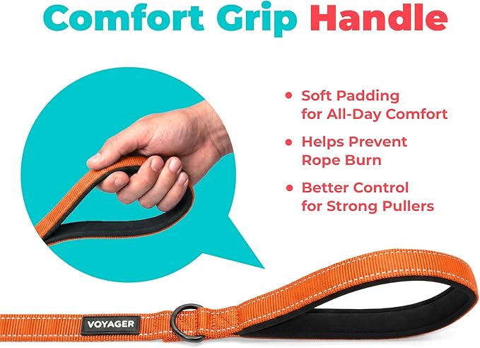 Best Pet Supplies Voyager Reflective Dog Leash or Collar with Neoprene Handle, for Small, Medium, and Large Breed Puppies, Cute and Heavy Duty for Walking, Running and Training - Orange (Leash), M