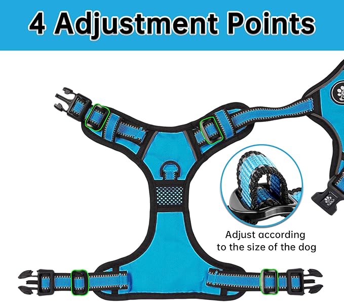 NESTROAD No Pull Dog Harness,Adjustable Oxford Dog Vest Harness with Leash,Reflective No-Choke Pet Harness with Easy Control Soft Handle for Small Medium Dogs(Medium,Blue)