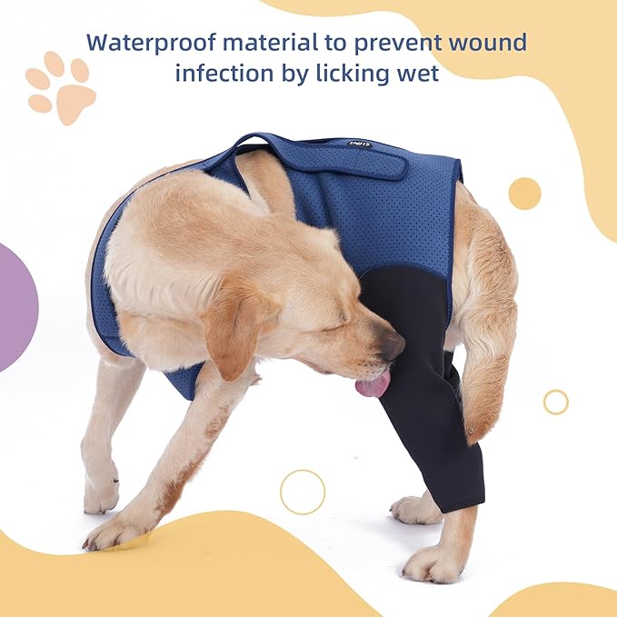 Dog Hind Leg Recovery Sleeve Dog Recovery Suit as Cone Collar Alternative, 2.5mm Thick and Waterproof, Prevent Pet Wounds Licking, Biting (2XLarge)