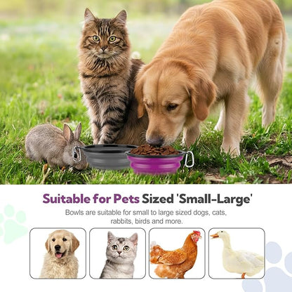 Collapsible Dog Bowl Large 2 Pack, Dog Water Bowls for Travels, Portable Foldable Pet Bowls Feeding Watering Dish for Parking Walking Camping with 2 Carabiners Clip (34oz, Large, Grey+Purple)