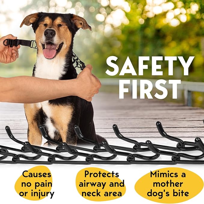 PetJett ProTrainer Prong Collar for Dogs - Choke Collar for Dogs, Pinch Collar for Dog Adjustable No Pull Training Collar for Small Medium Large Dog - Safety Durable Stainless Steel Metal Choker Chain