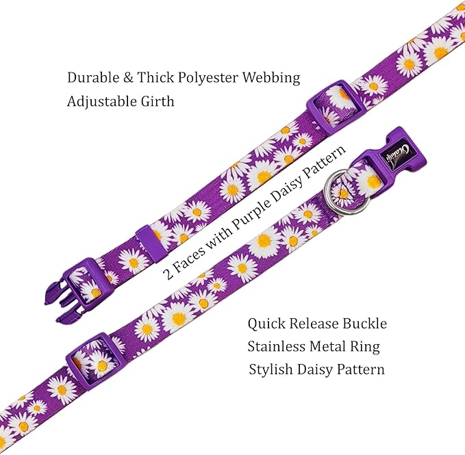 Dog Collar and Leash Set, Cute Daisy Pattern, Polyester Material, 5ft Leash, for Puppy Dogs.(Extra Small,Purple Daisy)