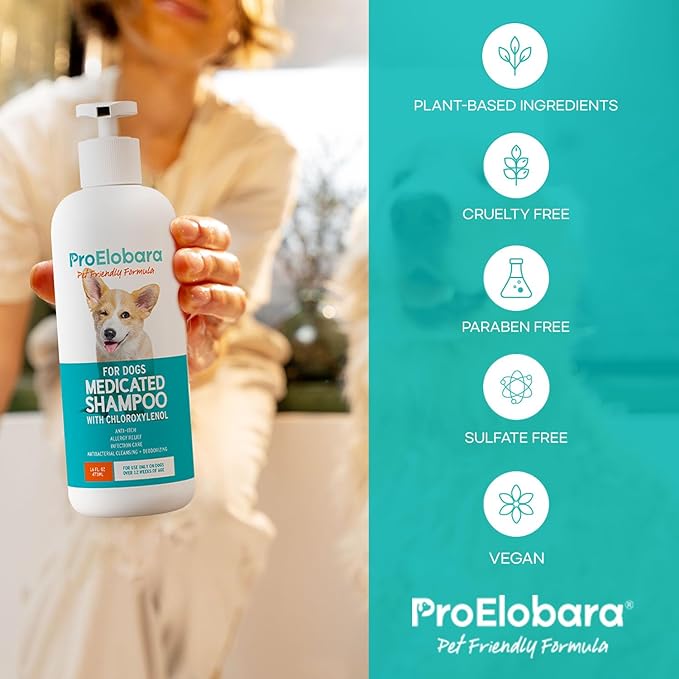 Medicated Dog Shampoo for Allergies and Itching: Antifungal Dog Shampoo, Yeast Infection and Bacterial Treatment for Dogs - Helps Hot Spots, Deodorizing and Anti Itch - Healthy Skin & Coat (Pack of 2
