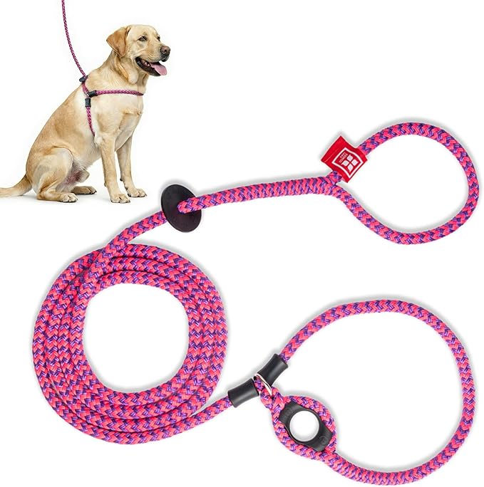 Harness Lead No Pull Dog Harness and Leash Set, Anti Pull Dog Harness, One-Piece Cushioned Rope Safely Prevents Escaping and Pulling (Medium/Large, Pink/Purple)