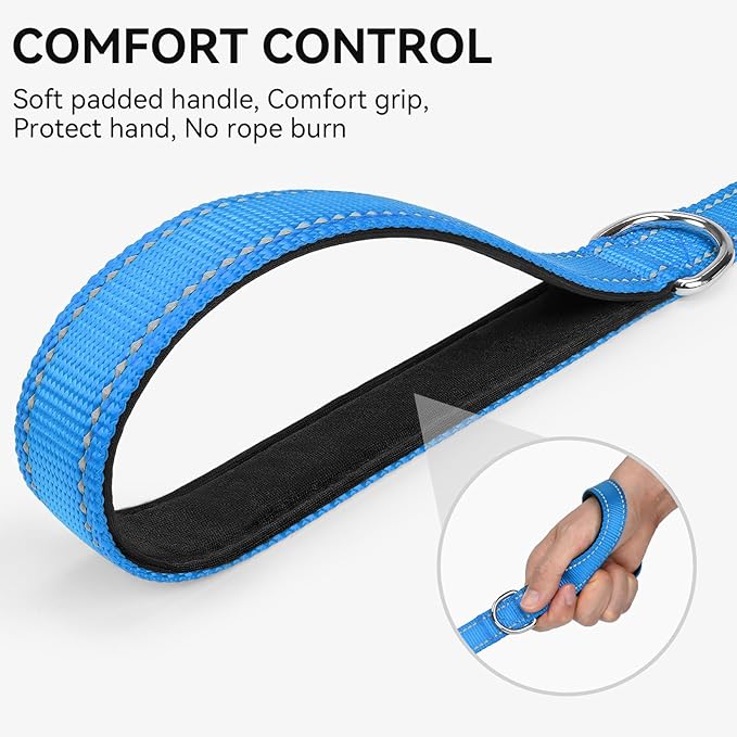 Joytale Dog Leash, 4 FT Double-Sided Reflective, Padded Handle Nylon Heavy Duty Leashes for Small Dogs Walking, SkyBlue