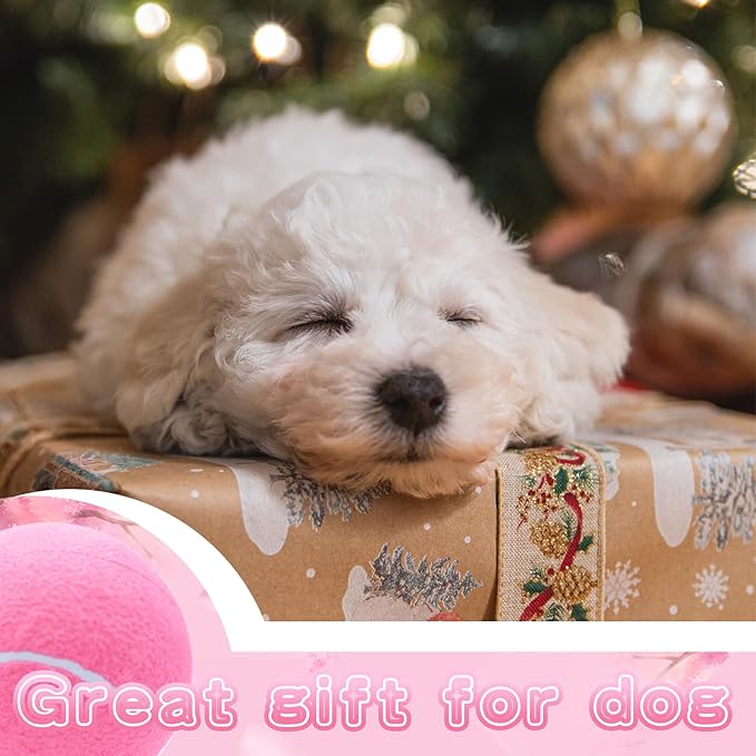 Banfeng Big Tennis Ball for Dogs, Giant Dog Tennis Ball Toy Large Outdoor Sports Gift for Small Medium Large Dog (Pink, 9.5 inch)