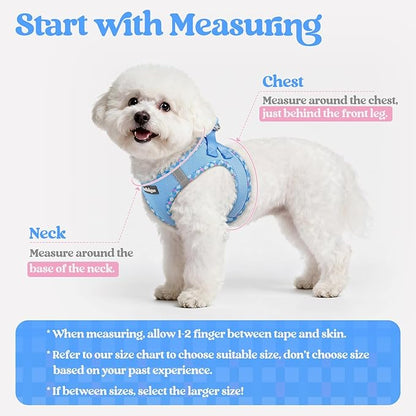 rabbitgoo Dog Harness Small Medium Sized and Leash Set, Step in Soft Light Puppy Vest, Breathable Mesh Pet Harness, Reflective for Safe Easy Walking, Blue & Plaid Trim L