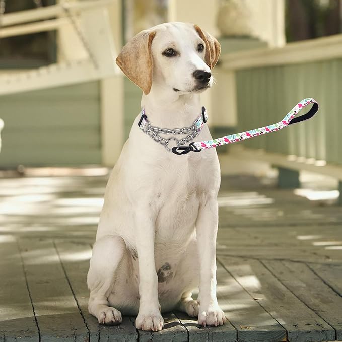 Martingale Dog Collar and Leash Set, Stainless Steel Chain, No Pull Training Collar with Flower Design, for Small, Medium, Large Dogs (NO4, S)