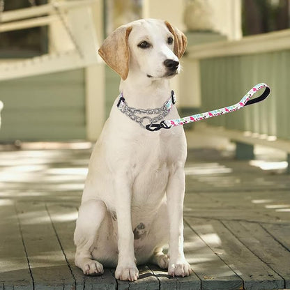 Martingale Dog Collar and Leash Set, Stainless Steel Chain, No Pull Training Collar with Flower Design, for Small, Medium, Large Dogs (NO4, S)