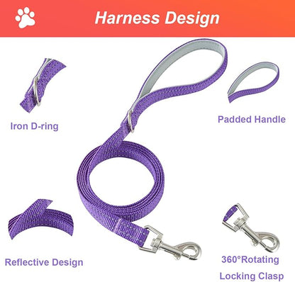 Hipubby Dog Harness Small Sized and Leash Set, No Pull Soft Mesh Puppy Vest, Reflective Breathable Lightweight Pet Harness, Harness for Small Medium Dogs and Cats - Purple/White Trim, M