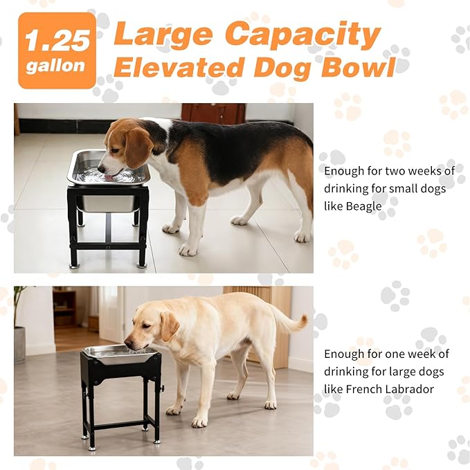1.25 Gallons Elevated Large Dog Water Bowl, 4 Height Adjustable Stainless Steel Raised Dog Bowls with Stand, Indoor Outdoor Pet Water Bowl Relief Joint Pressure Pet Dishes for Dogs Easy Clean