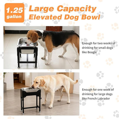 1.25 Gallons Elevated Large Dog Water Bowl, 4 Height Adjustable Stainless Steel Raised Dog Bowls with Stand, Indoor Outdoor Pet Water Bowl Relief Joint Pressure Pet Dishes for Dogs Easy Clean