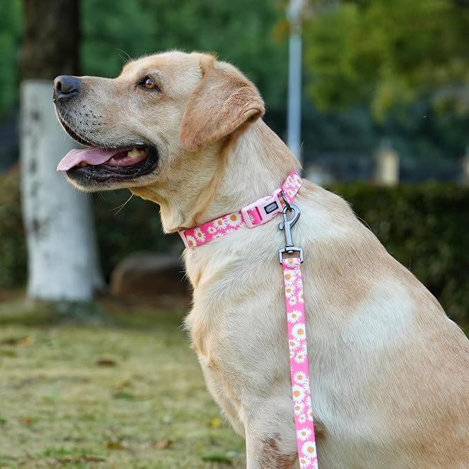 Dog Collar and Leash Set, Cute Pink Daisy Pattern, Polyester Material, 5ft Leash, for Medium Dogs.(Medium,Pink Daisy)