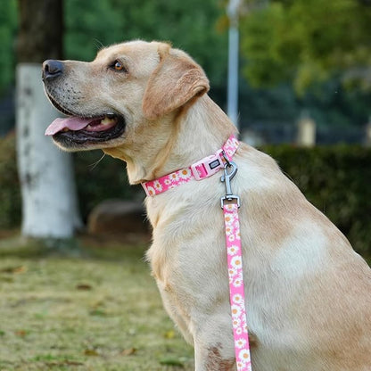 Dog Collar and Leash Set, Cute Pink Daisy Pattern, Polyester Material, 5ft Leash, for Large Dogs.(Large, Pink Daisy)