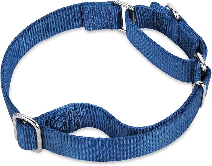 Hyhug Martingale Collar for Dogs Small Blue |Escape - Proof Heavy Duty Nylon Durable No Buckle, Ideal for Training & Daily Walks