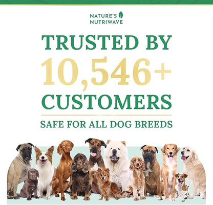 Pawbiotix Liquid probiotics for Dogs - Dog probiotics for Digestive Health | 100% Natural Dog Gut Health probiotics | probiotics for Dogs | Original Formula, Beacon Flavor, 1oz, 3 Month Supply