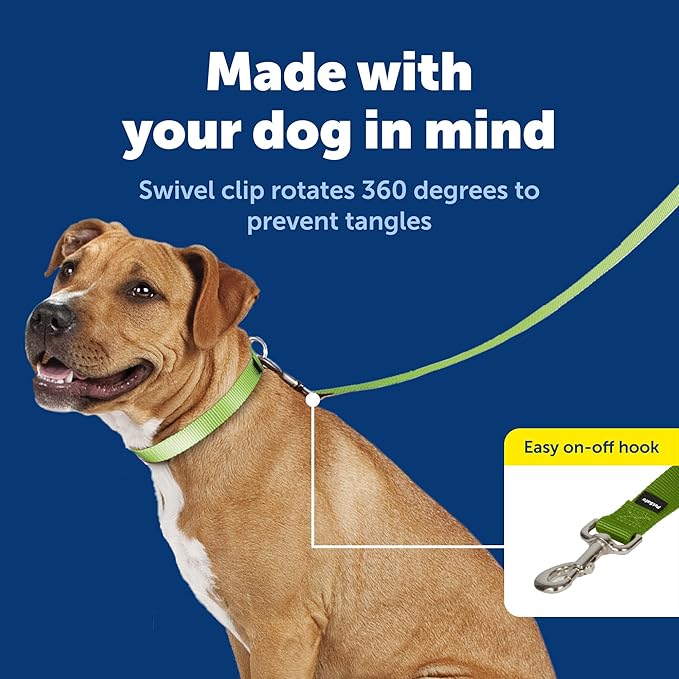 PetSafe Nylon Leash - Helps Maintain Secure Connection on Walks - Durable Pet Leash with Easy Clip - 1 in. x 6 ft. - Apple Green
