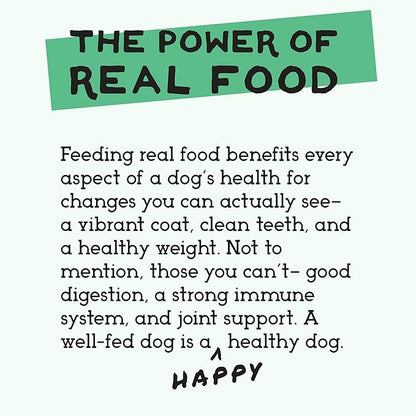Simple Food Project - Bison Recipe - Freeze Dried Raw Food for Dogs - 96oz