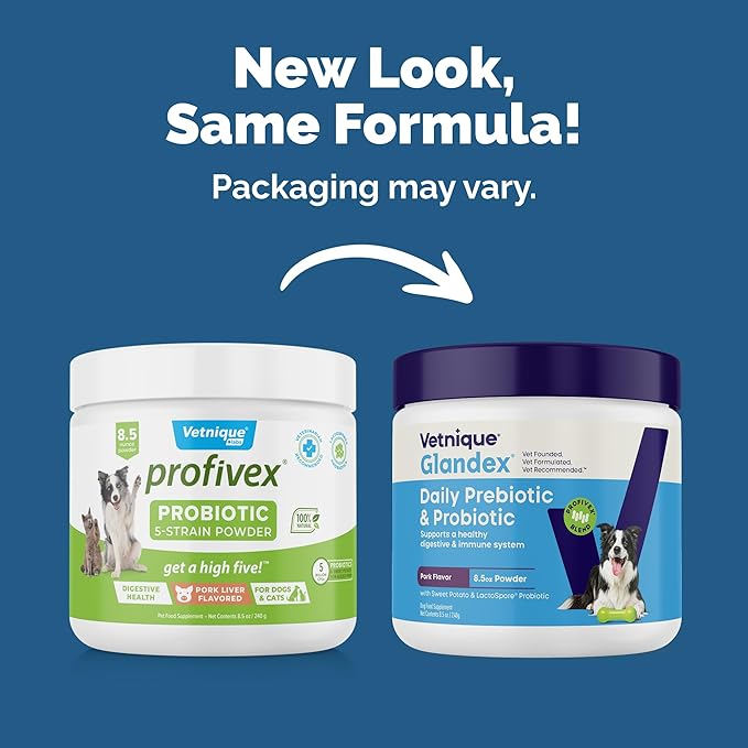 Vetnique Glandex Daily Probiotics for Dogs with Prebiotics to Support Gut Health, Diarrhea with Fiber and Digestive Enzymes, Dog Probiotic Powder (8.5oz Powder, Pork Powder)