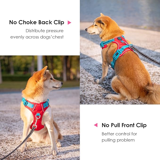 PHOEPET No Pull Dog Harness, Unique Colors Reflective Adjustable Dog Vest, with Soft Training Handle Metal Clips for Small Medium Large Dogs (Red Base & Teal Straps,XS)