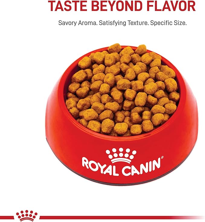 Royal Canin Breed Health Nutrition Shih Tzu Adult Dry Dog Food, 10 lb Bag