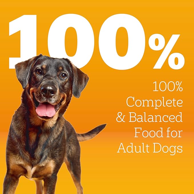 Pedigree Dry Dog Food for Adult Dogs, High Protein, Beef and Lamb Flavor, 3.5 lb. Bag