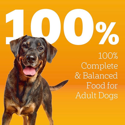 Pedigree Dry Dog Food for Adult Dogs, High Protein, Beef and Lamb Flavor, 3.5 lb. Bag