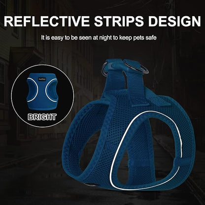 PetiFine Cat Harness and Leash Set,Escape Proof Kitten Harness Reflective,Soft Lightweight Puppy Harness for Walking and Travelling(XXS, Baby Blue)