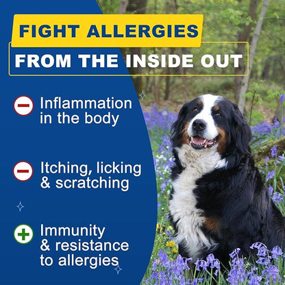 Dog Allergy Relief Chews, Itch Relief for Dogs, Colostrum, Probiotics for Dogs Support Immunity, Omega 3, Honey for Dry & Itchy Skin Relief, Seasonal Allergy, Pawlicking, Hot Spot Treatment, 120 Bites