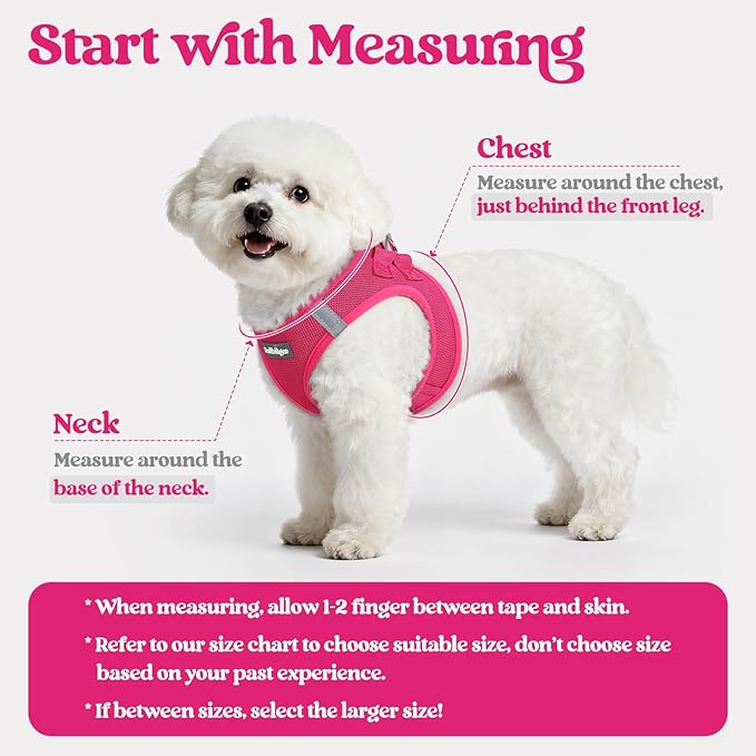 rabbitgoo Dog Harness Small Sized and Leash Set, Step in Soft Light Puppy Vest, Breathable Mesh Pet Harness, Reflective for Safe Easy Walking, Rosa Red XXXS