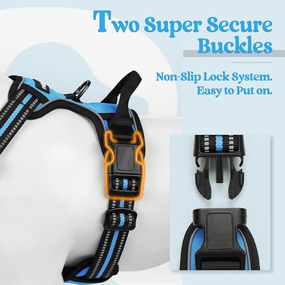 rabbitgoo Dog Harness No Pull with 2 Leash Clips, Adjustable Soft Padded, Reflective Oxford No Choke Pet Vest with Easy Control Handle for Medium Sized Dogs, Blue, M