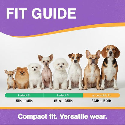 Educator ME-300 Micro E Collar for Dog Training with Remote - 1/3 Mile Range, Waterproof, 100 Blunt Stimulation Levels, Tone or Vibration Mode, Night Tracking Light for Small, Medium & Large Dogs