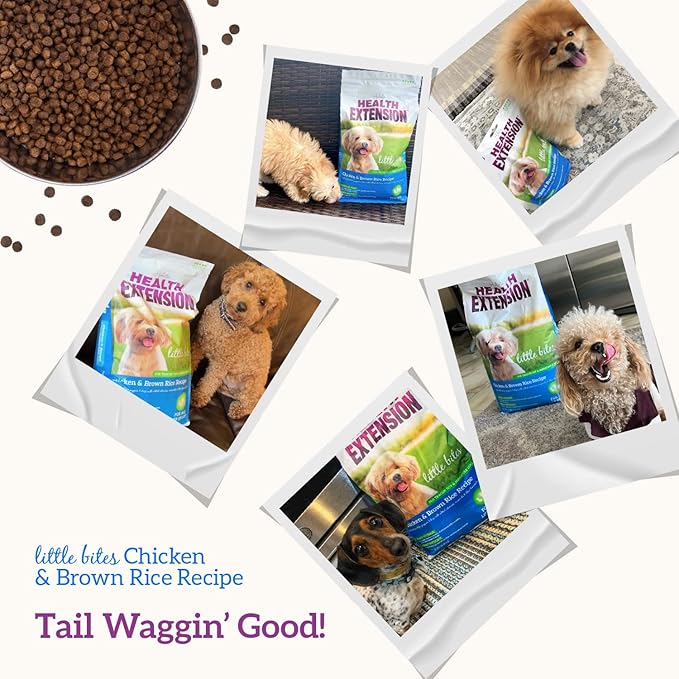 Health Extension Little Bites Dry Dog Food for Toy and Small Breeds, Chicken & Brown Rice Recipe, with Probiotics & Superfoods for Digestion & Coat Health, 4 lb Bag