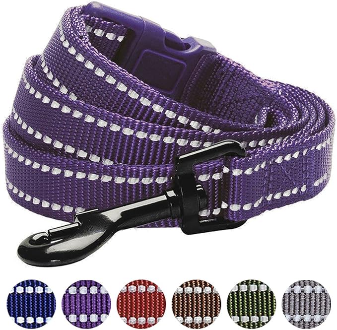 Blueberry Pet Essentials Durable 3M Reflective Classic Dog Leash 4 ft x 1", Violet, Large, Leashes for Dogs
