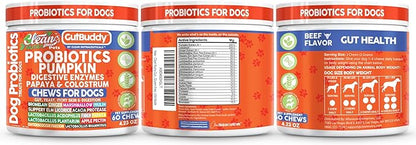 Gut Health Probiotics for Dogs + Pumpkin Colostrum Digestive Enzymes Ginger Slippery Elm Licorice Inulin Fiber Soft Chews Dog Probiotic Beef Flavor Digestion Supplement Treat Bites Large & Small Pets